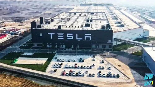 降低成本這招我會 豐田開發(fā)新車身技術(shù)，直指行業(yè)成本命門